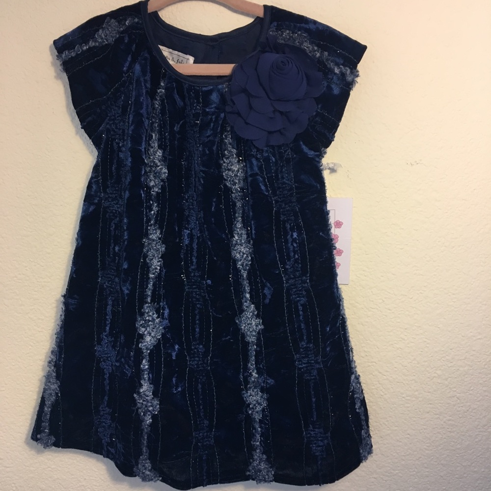 New Pippa and Julie Blue Velvet Dress Size 24M